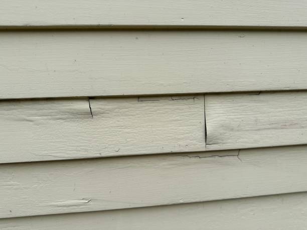 Best Siding Removal and Disposal  in Cumberland, MD